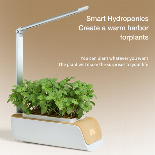 Indoor Herb Hydroponic Garden Starter Kit