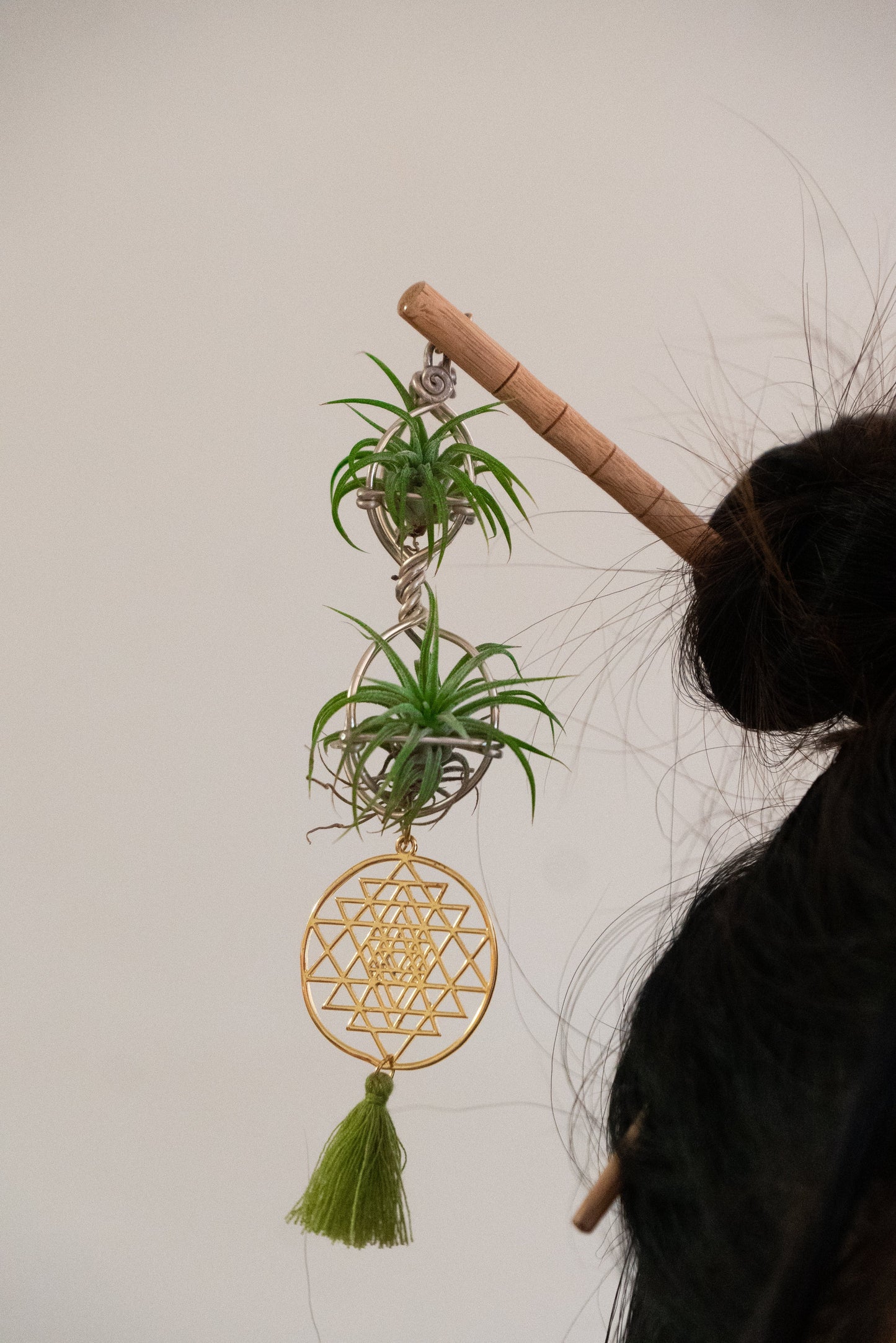 Air Plant Hair Sticks ~ Chopsticks for Hair