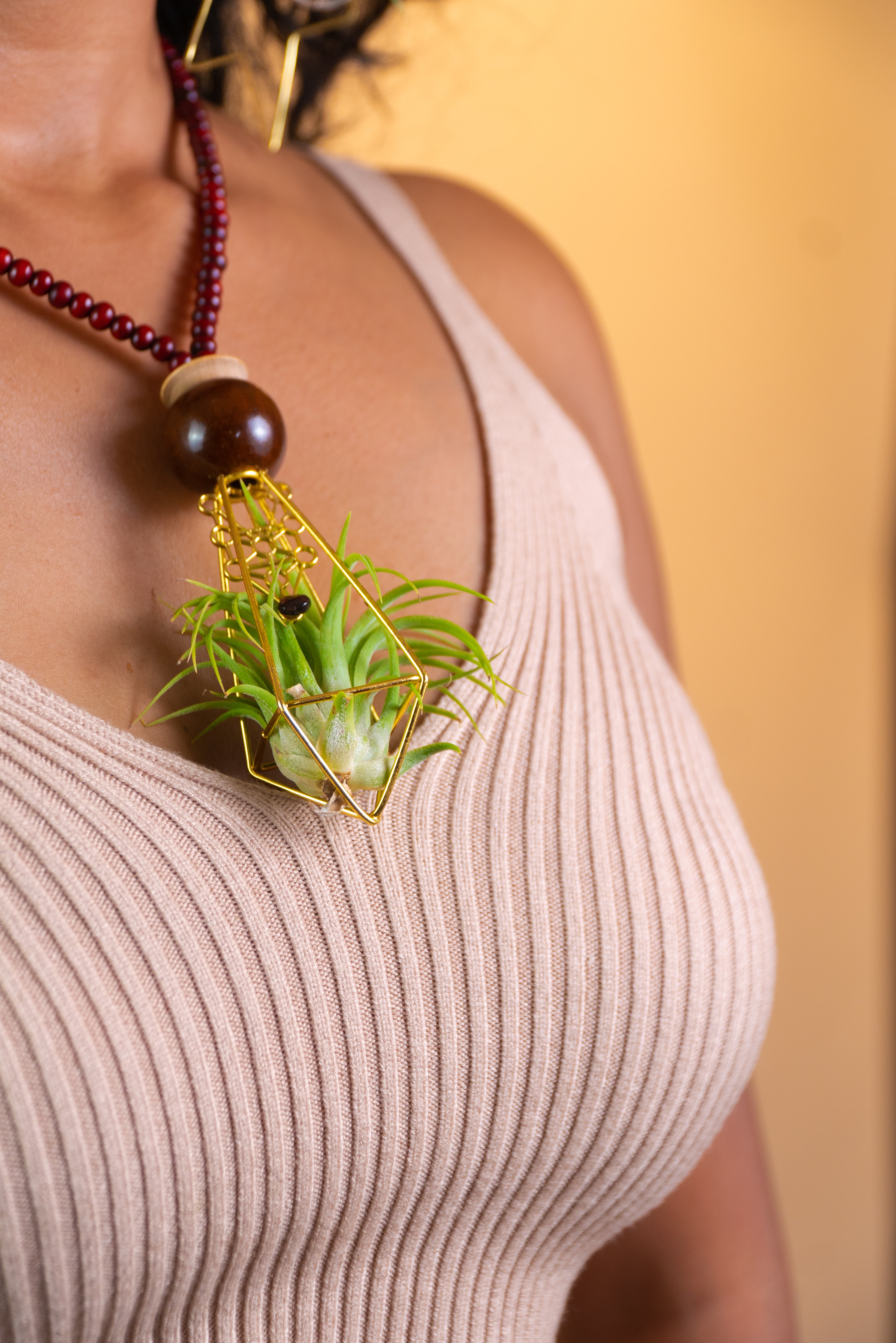 Air Plant Terrarium Sandalwood Bead Necklace ~ Buddha Monk Prayer