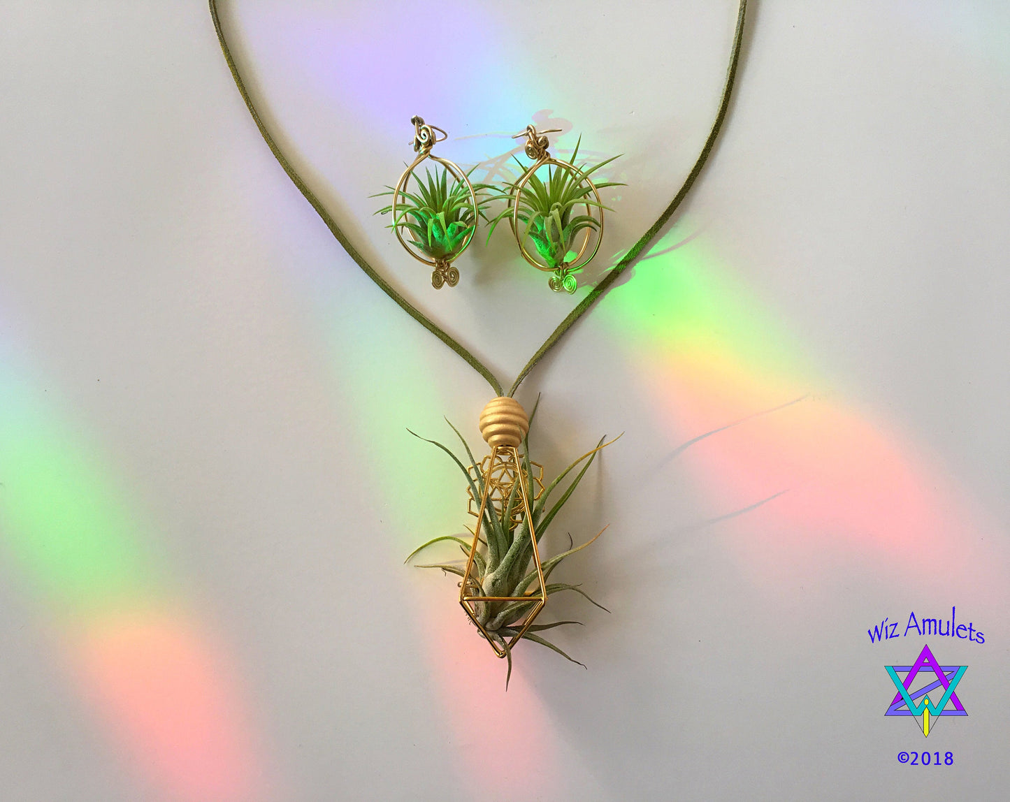 Air Plant Earrings & Necklace Set