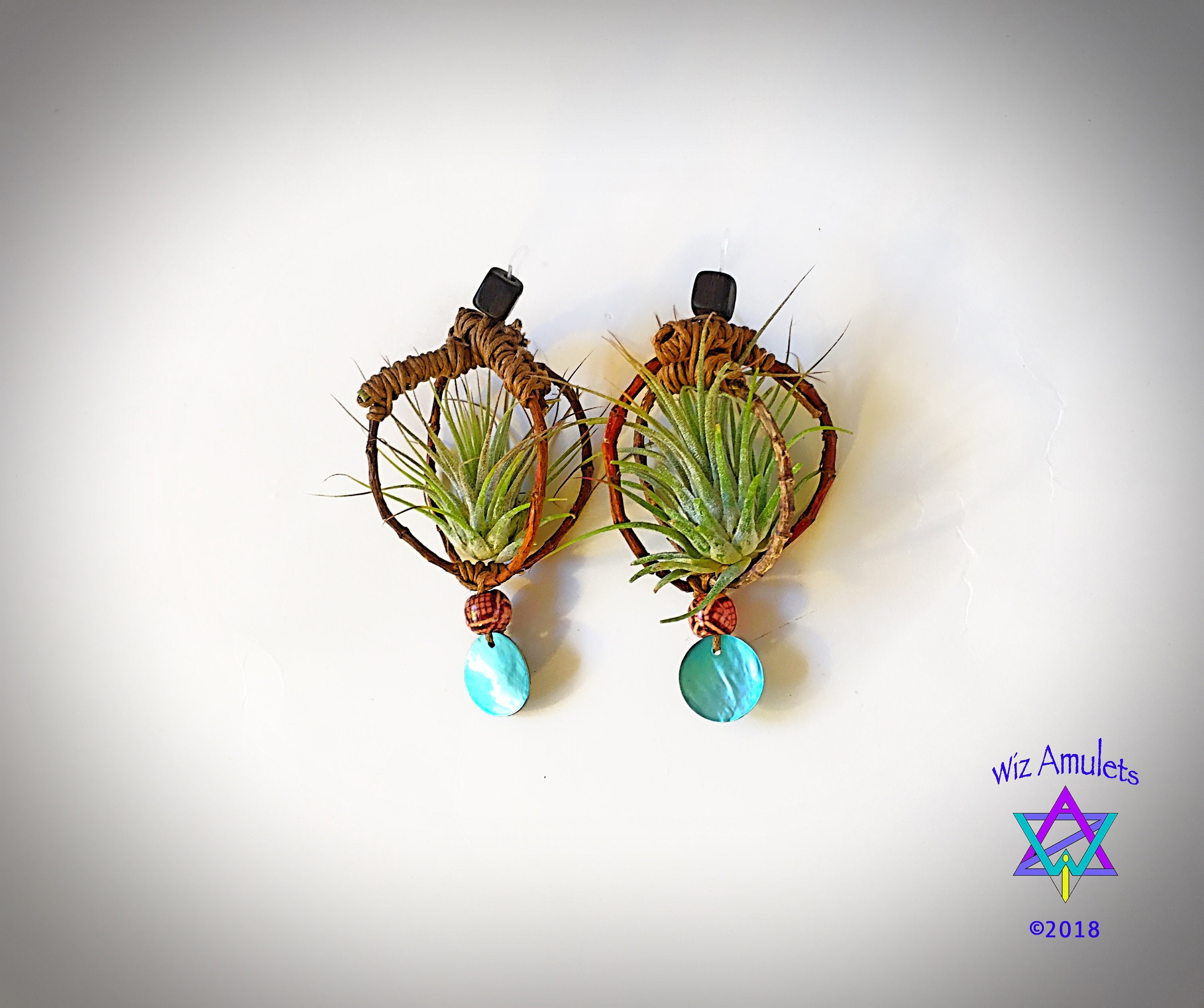 macrame plant hanger earrings Air Plant Earrings Wood Branch Orb ~ Living Metal-Free Earrings –  AirPlantNina Symbiotic Living Jewelry