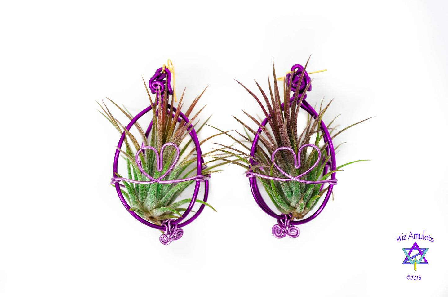Heart Infinity Air Plant Orb Earrings ~ Heart and Infinity Wire Designs