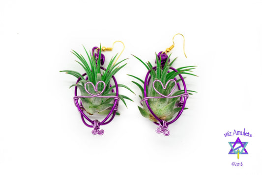 Heart Infinity Air Plant Orb Earrings  ~Heart and Infinity Wire Designs