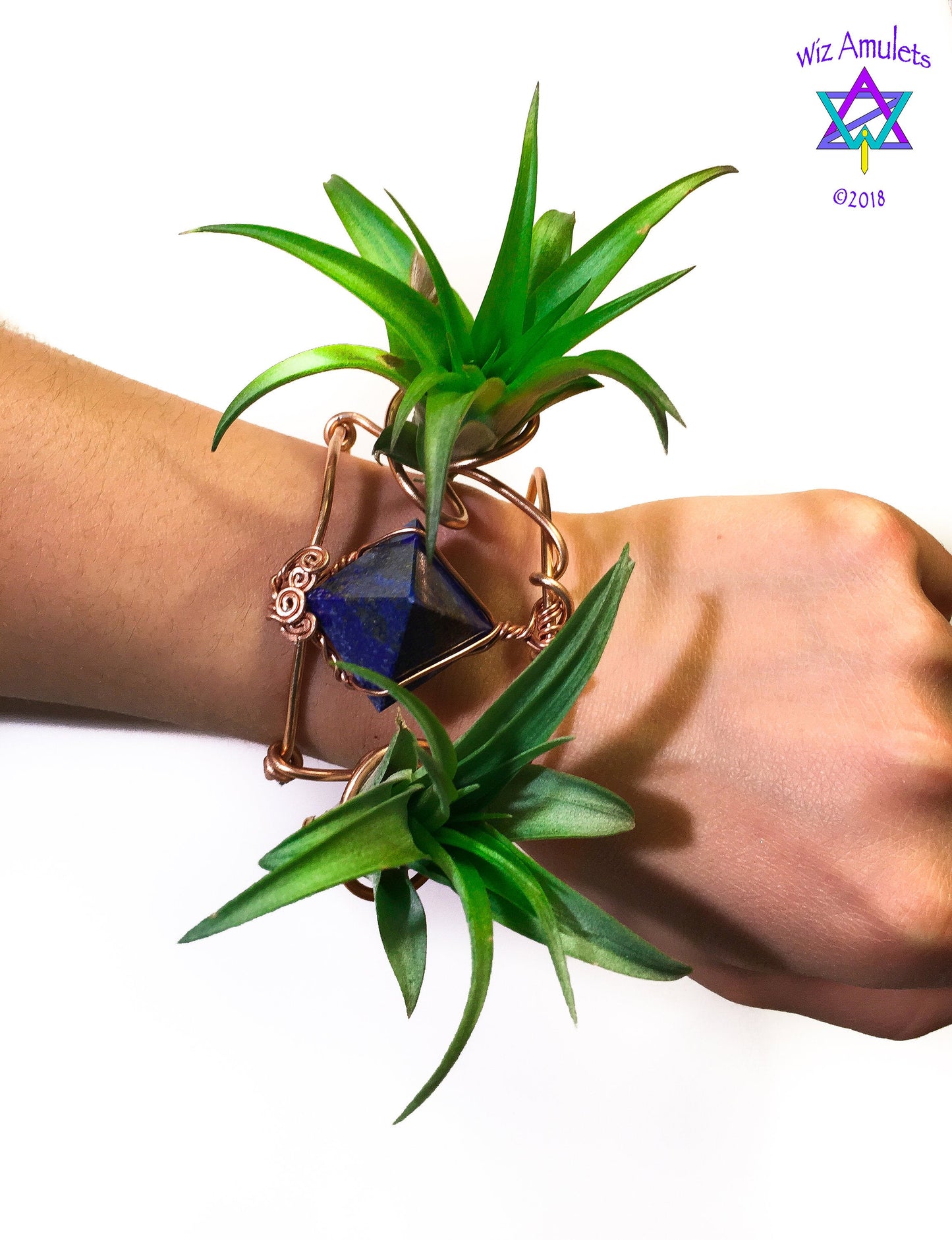 Air Plant Cuff Bracelet ~ Corsage Terrarium + Crystal Pyramid