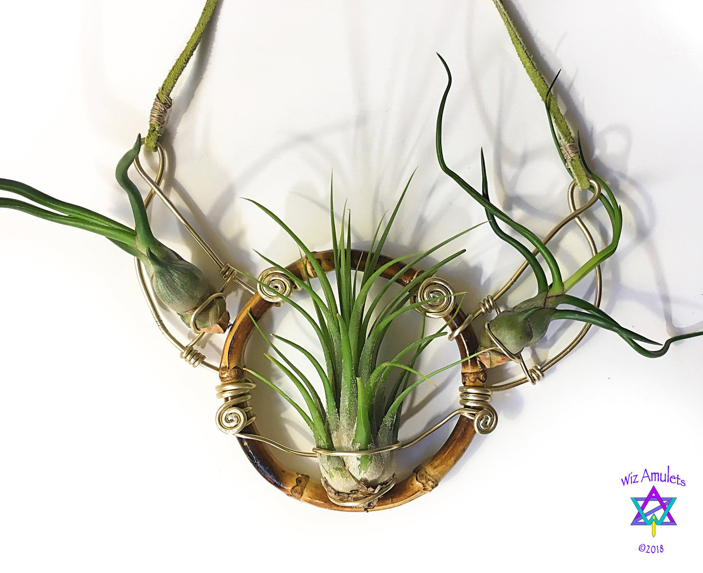 Air Plant Goddess Statement Collar Necklace ~ Warrior Bamboo Necklace