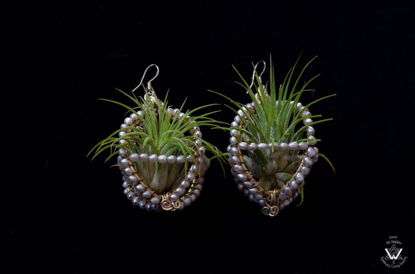 Air Plant Pearl Embroidered Orb Carriage Earrings