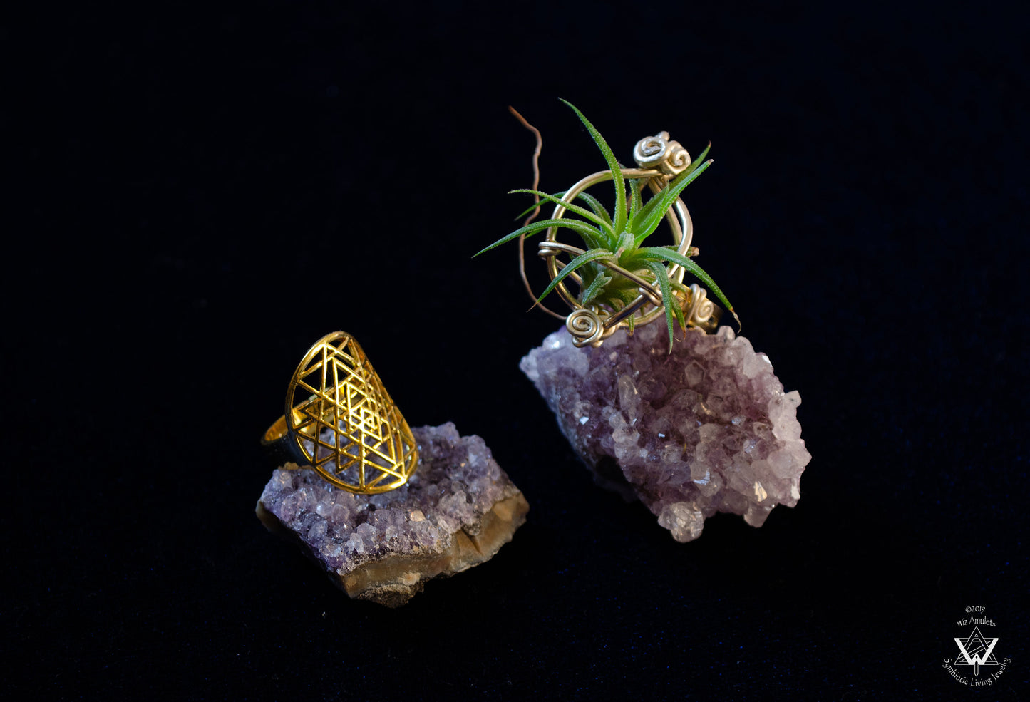 Air Plant Orb Terrarium Ring