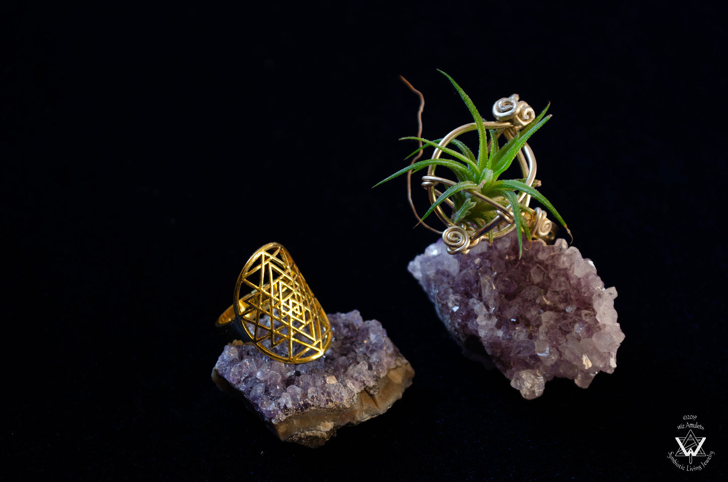 Air Plant Orb Terrarium Ring