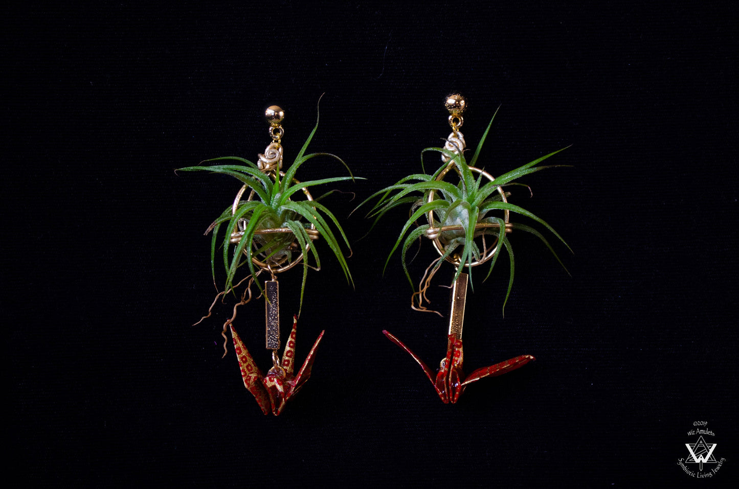 Living Plant Origami Crane Earrings