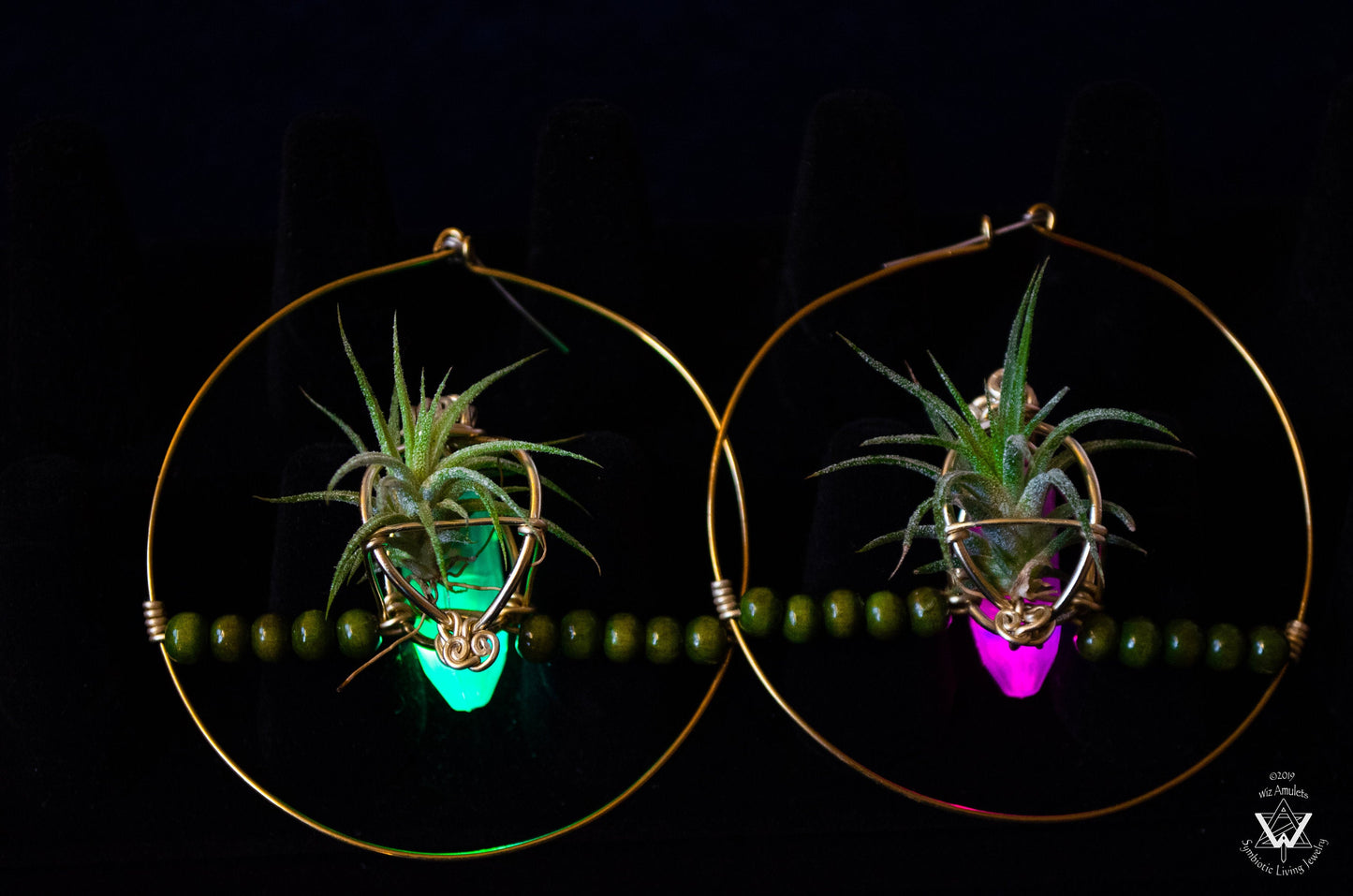 Glow Grow Air Plant Hoop Earrings ~  LED Illuminated