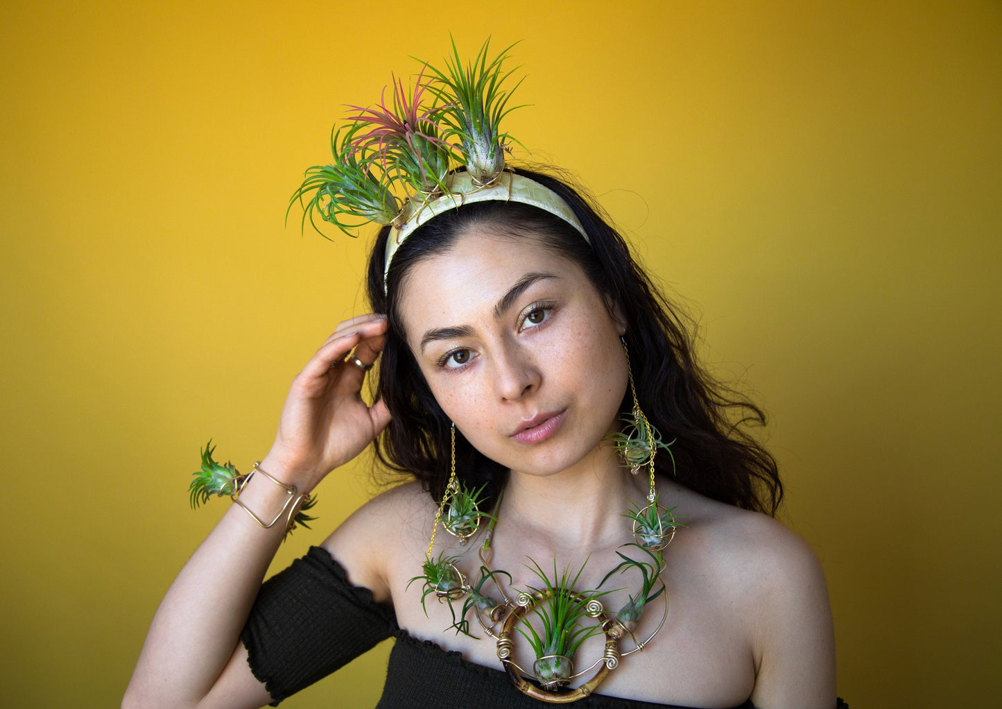 Air Plant Goddess Crown Wreath Headdress
