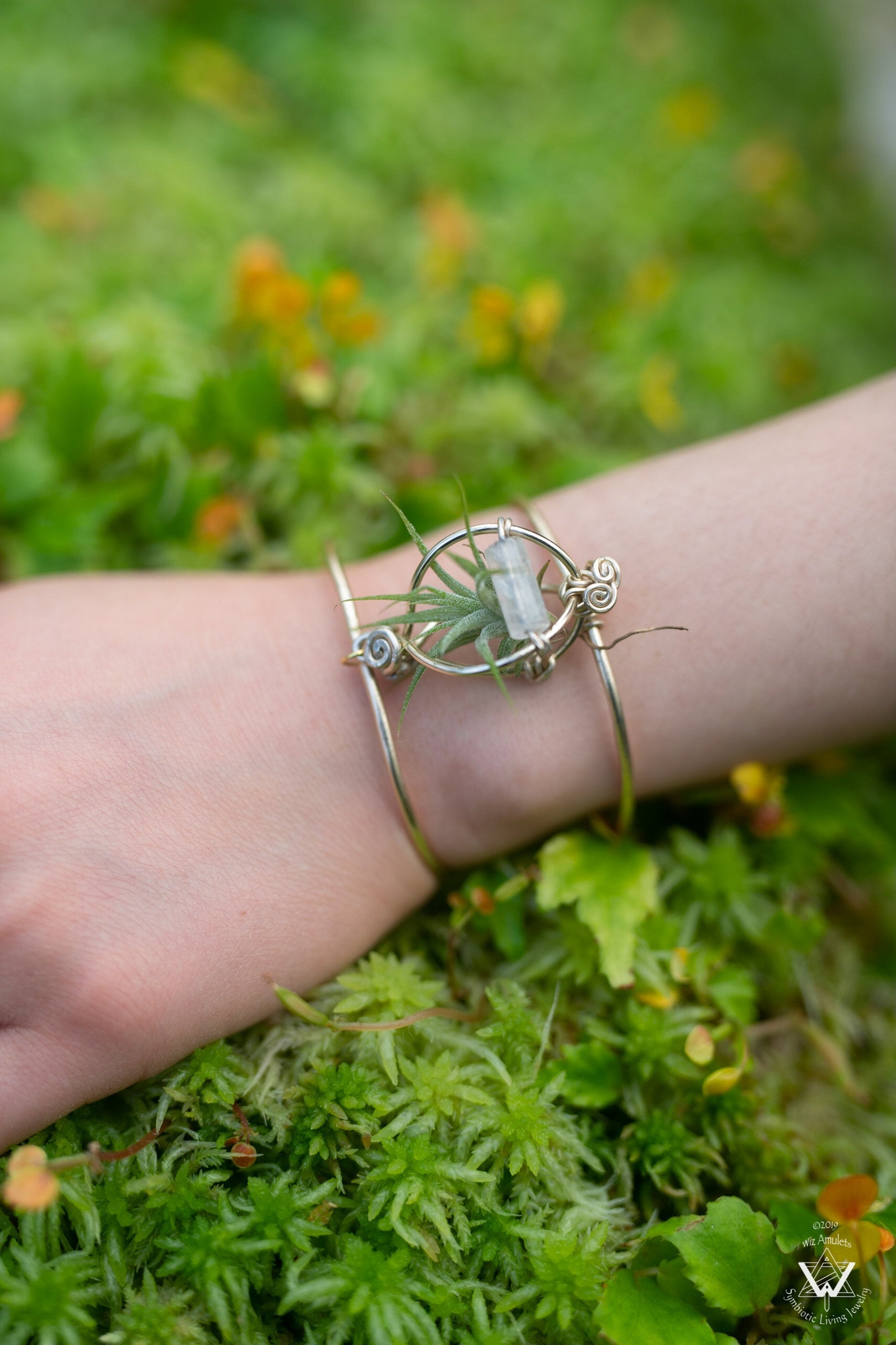 Air Plant Cuff Bracelet ~ Corsage Terrarium + Crystal Pyramid