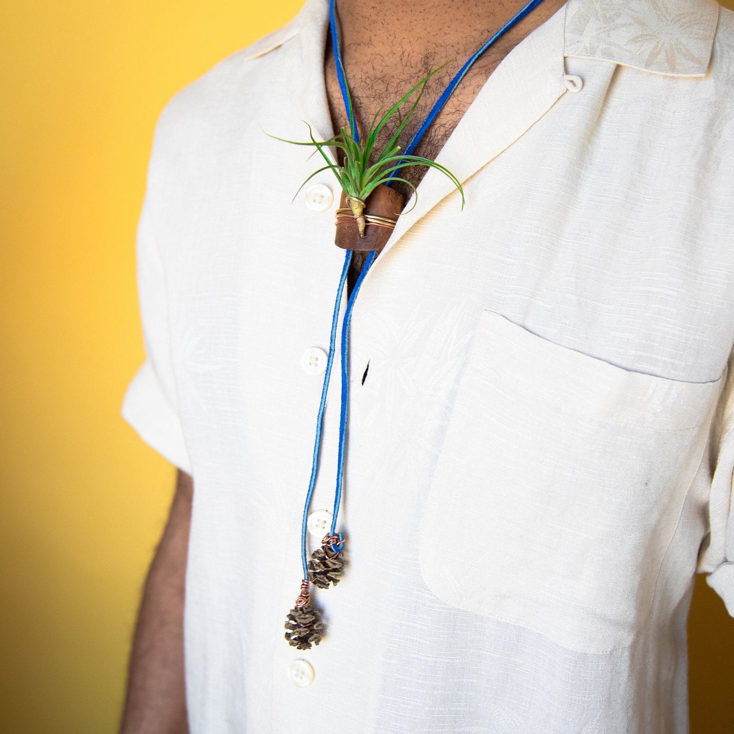 Living Air Plant Bolo Tie + Pinecone Charms
