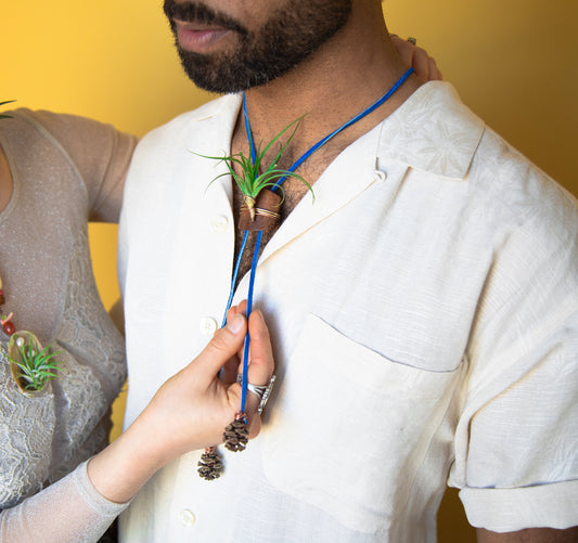 Living Air Plant Bolo Tie + Pinecone Charms
