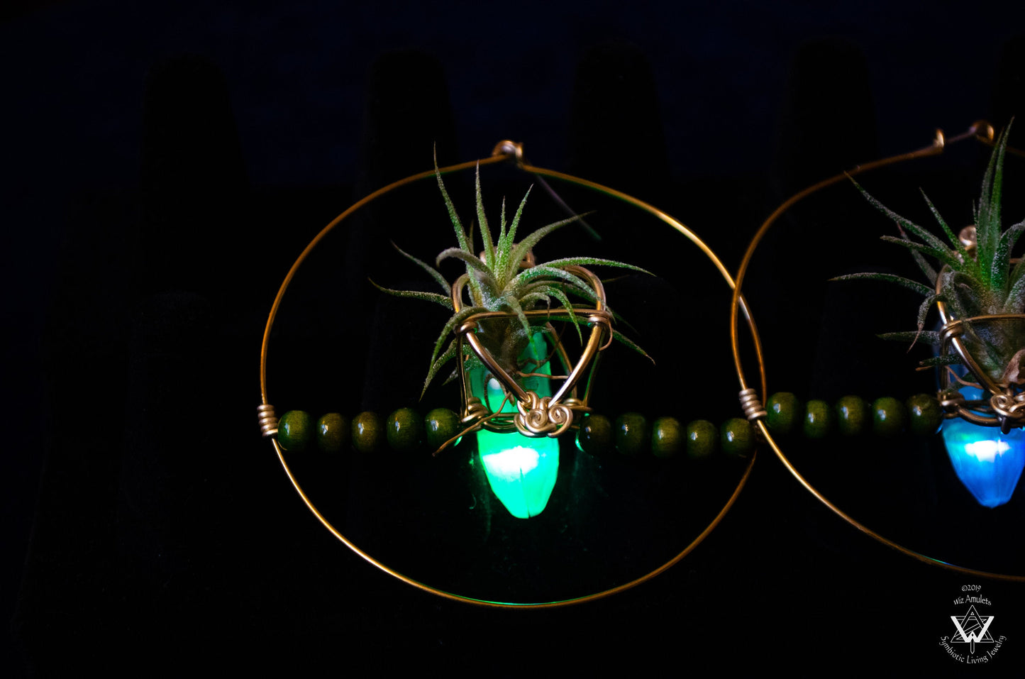 Glow Grow Air Plant Hoop Earrings ~  LED Illuminated