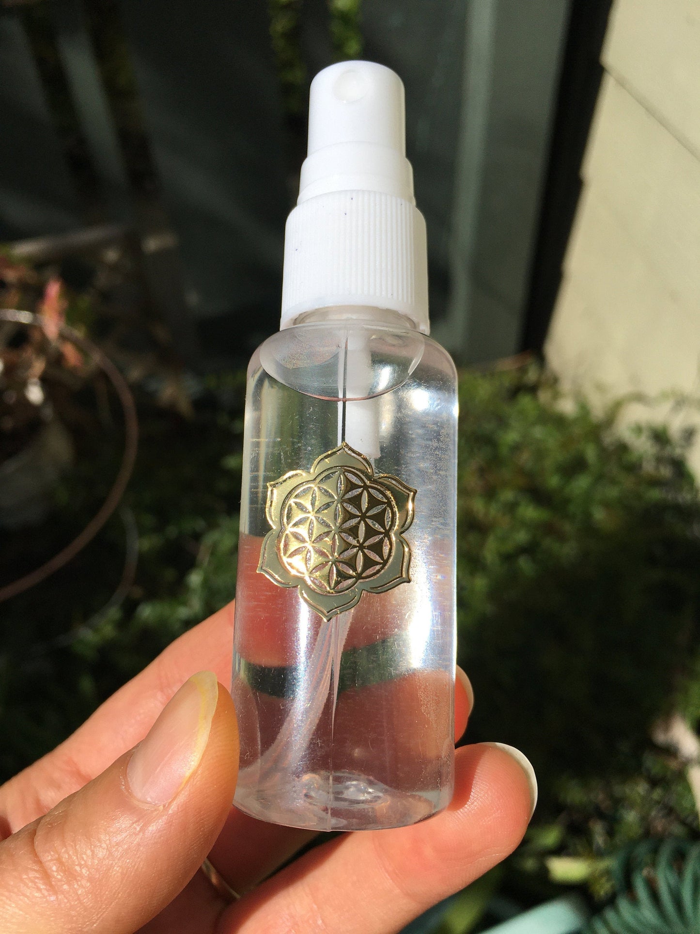 Air Plant Hydration Mist Water Spray Bottle w/ Sacred Geometry