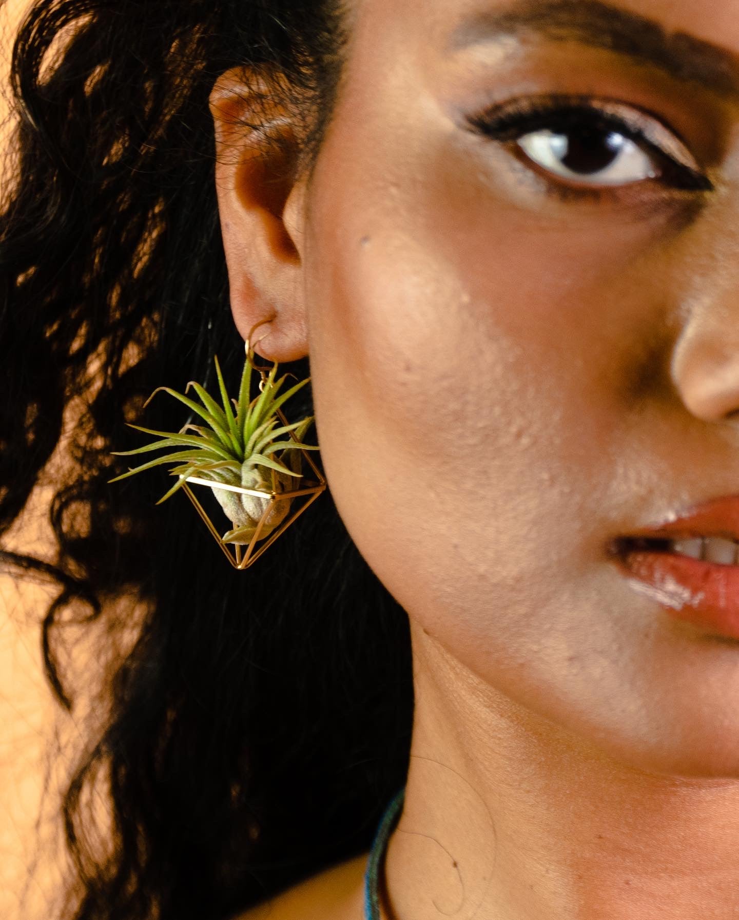 Mini Diamond Octahedron Classic Air Plant Clasp Earrings